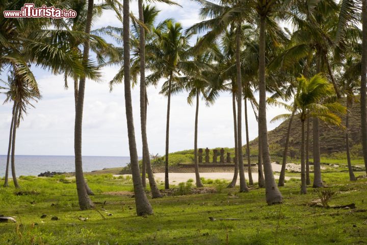 Immagine Palme sul lungomare dell'isola di Pasqua, Cile. Sullo sfondo, alcune statue Moai - © 13245298 / Shutterstock.com