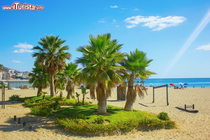 Immagine Palme sulla spiaggia di Fuengirola, Andalusia, Spagna. Vegetazione e giardini sono il fiore all'occhiello della città che vanta ben 350 mila metri quadrati di aree verdi - © Dragomir Nikolov / Shutterstock.com