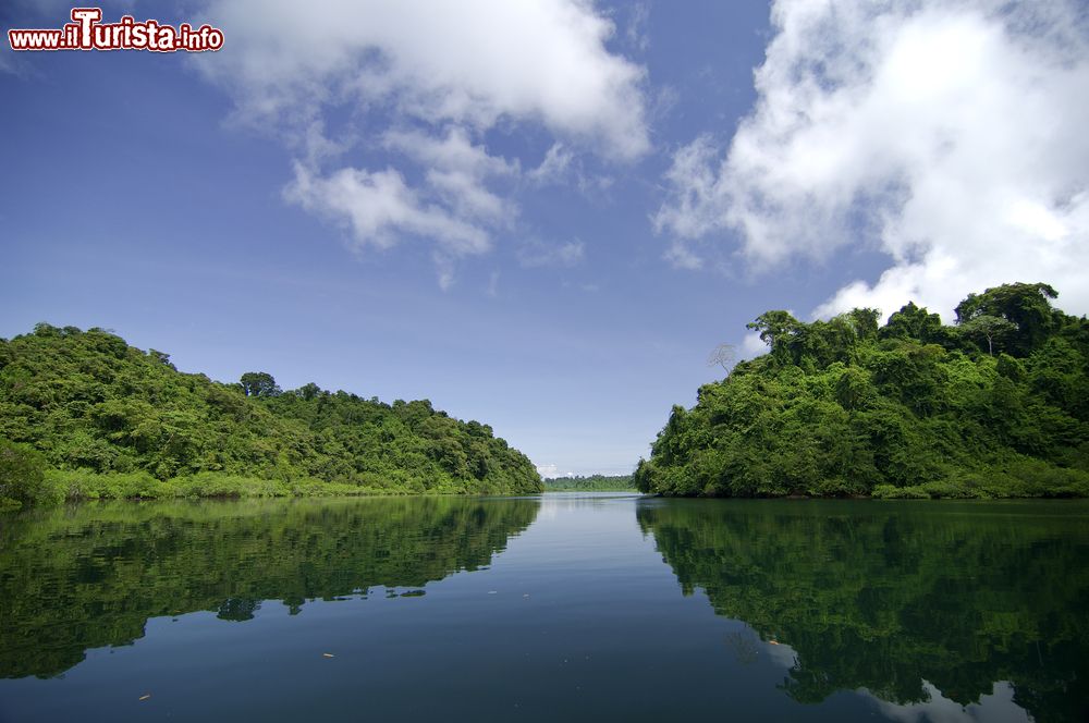 Immagine Palude di mangrovie al Parco Nazionale Coiba, Panama. L'area si trova nella provincia di Veraguas, Oceano Pacifico. E' considerato uno degli ultimi paradisi naturali incontaminati.