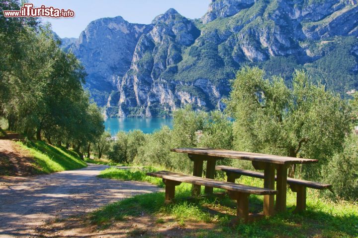 Immagine Panche e tavolo in legno sulle sponde del lago di Garda a Riva, Trentino Alto Adige. Immerso nella natura questo angolo di Trentino è perfetto per  un pic-nic lungolago - © 57715747 / Shutterstock.com