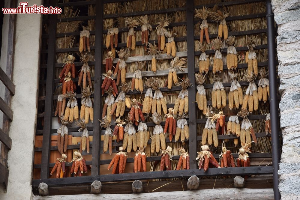 Immagine Pannocchie ad essiccare in una casa di Rango, antico borgo del Trentino