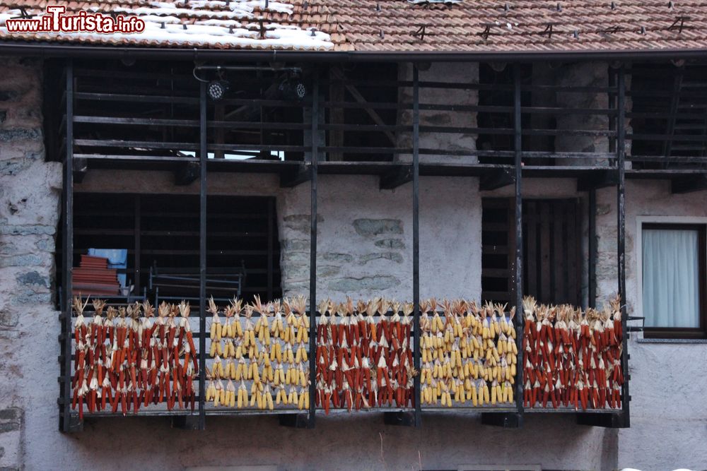 Immagine Pannocchie di granoturco appesi a un balcone ad essiccare, Rango, Trentino Alto Adige. Questa antica frazione del Comune di Bleggio Superiore è considerata uno dei borghi più suggestivi del Trentino.