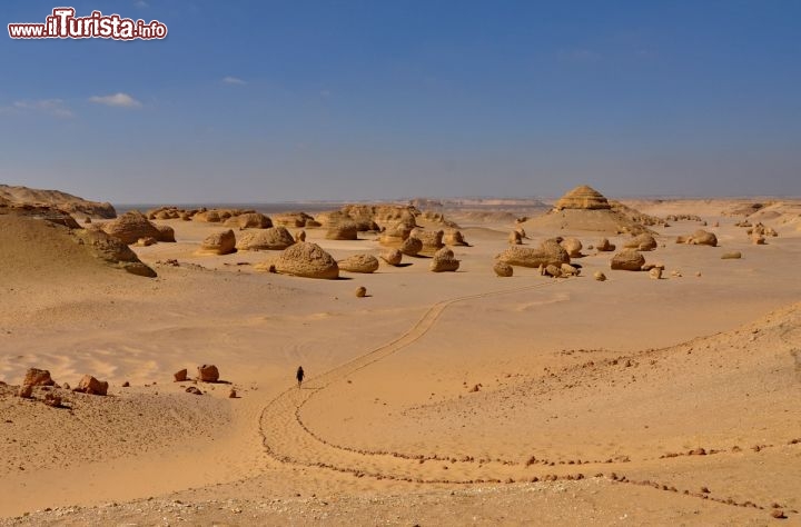 Immagine Panorama di Wadi al-Hitan Egitto: la vista della Valle delle Balene dall'altopiano - In collaborazione con I Viaggi di Maurizio Levi