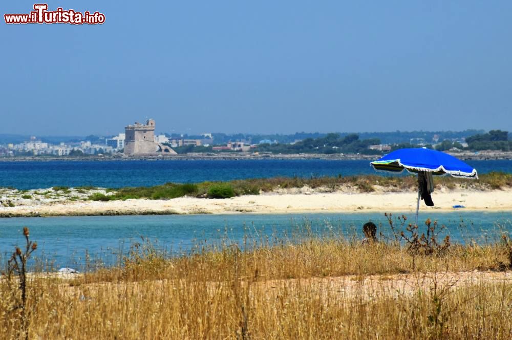 Immagine Panorama  della Torre di Squillace dalla spiaggia di Sant'Isidoro in Puglia