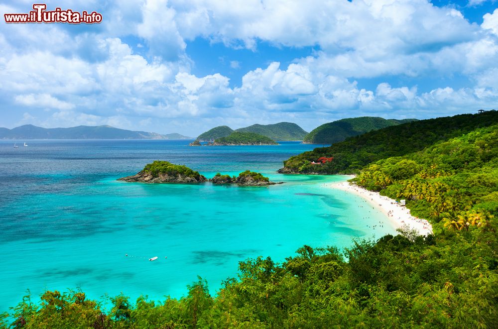 Immagine Panorama aereo della pittoresca baia Trunk con spiaggia sull'isola di St. John (Isole Vergini Americane): da molti è considerato il tratto di litorale sabbioso più bello dei Caraibi.