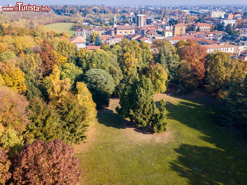 Immagine Panorama aereo di Limbiate (Lombardia) con foliage autunnale. Un terzo della superficie comunale fa parte del Parco delle Groane.