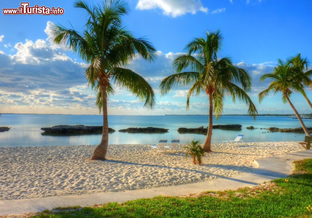 Immagine Panorama al tramonto sulla spiaggia di Abaco, Arcipelago delle Bahamas.