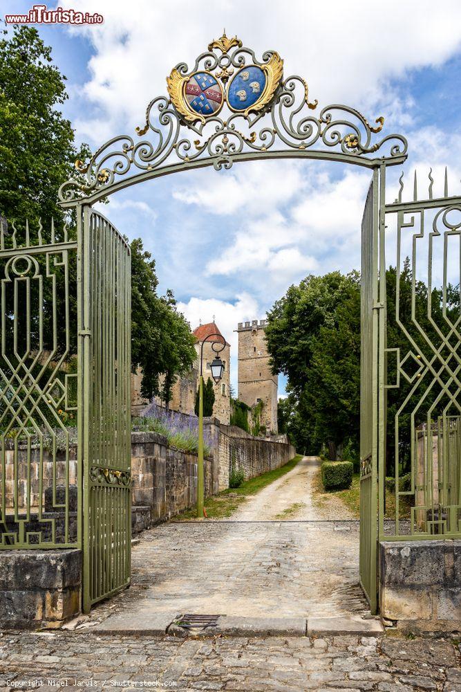 Immagine Panorama attraverso il cancello di ferro al castello di Montbard, Borgogna (Francia) - © Nigel Jarvis / Shutterstock.com