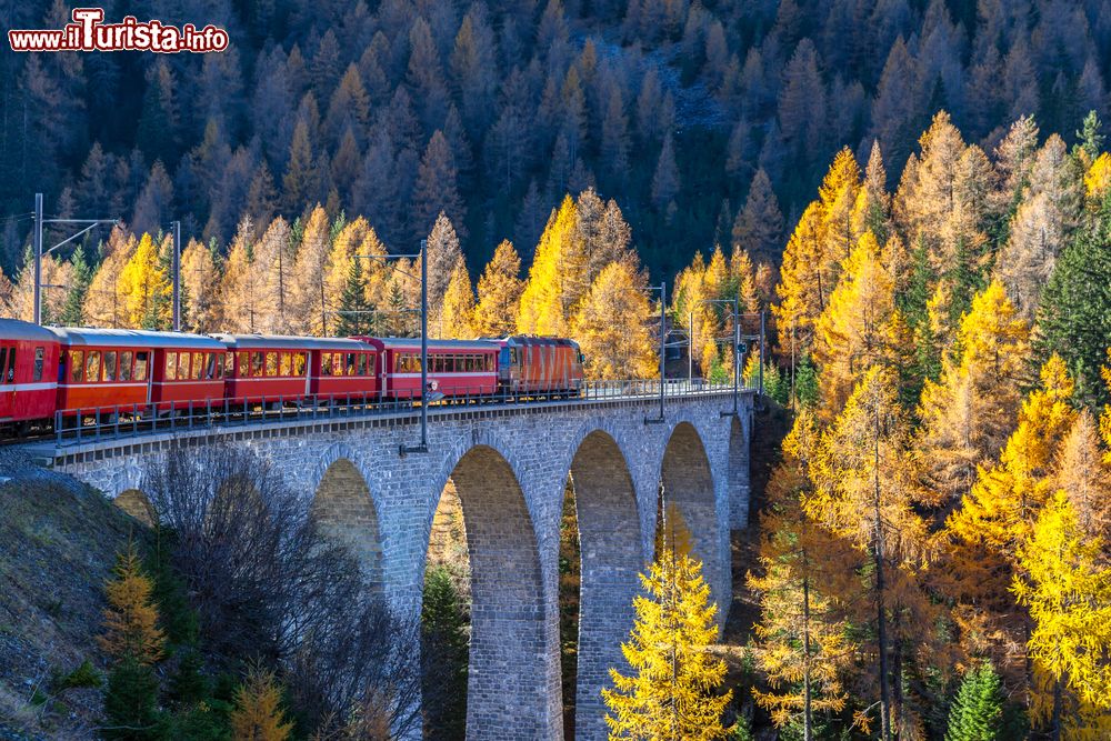 Immagine Panorama autunnale del viadotto di Landwasser con il treno turistico Glacier Express (Svizzera). Il treno prende il nome dal ghiacciaio del Rodano che in passato era posto lungo il percorso.