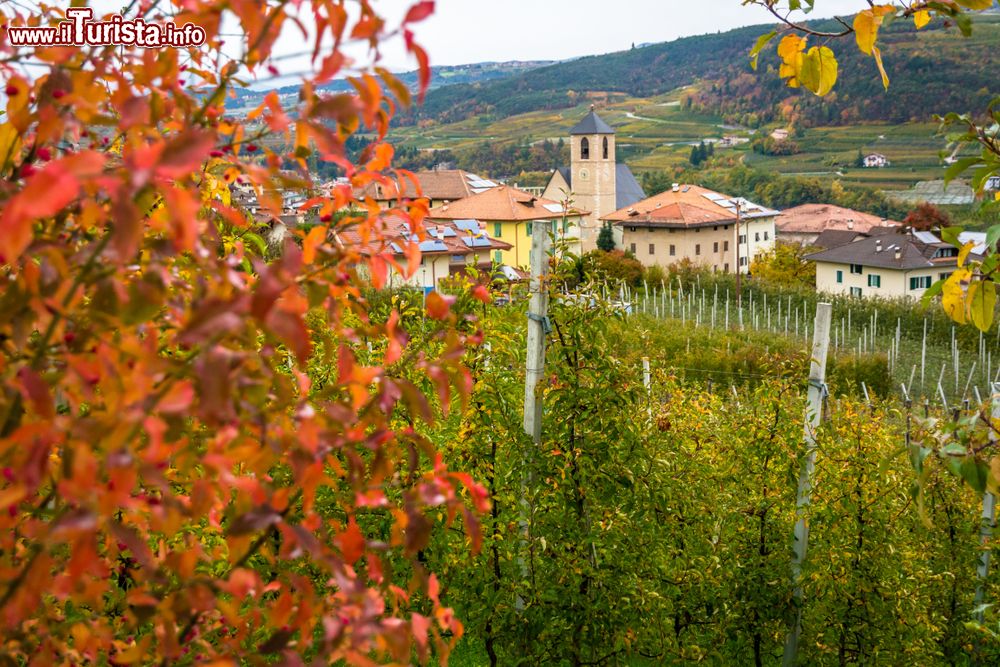 Immagine Panorama autunnale di Tassullo in Trentino, cittadina famosa per la produzione vinicola