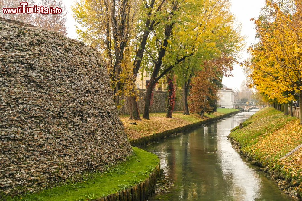 Immagine Panorama autunnale nella città di Treviso, Veneto. I due fiumi cittadini, Sile e Cagnan, si insinuano fra le vie donando un fascino unico al centro storico racchiuso dalle antiche mura.