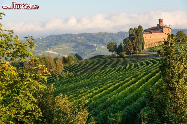 Immagine Panorama dei vigneti nei pressi di Barolo