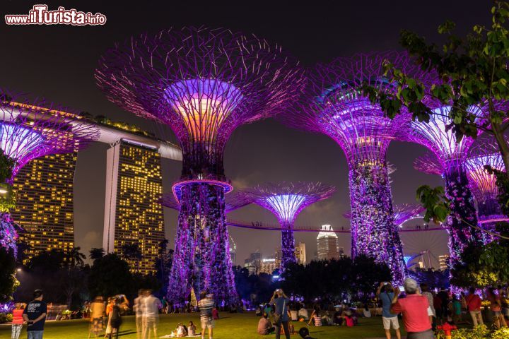 Immagine Panorama by night dei Supertrees Grove a Singapore: di sera queste strutture floreali creano una skyline di grande effetto grazie alle luci che le illuminano - © 290033540 / Shutterstock.com