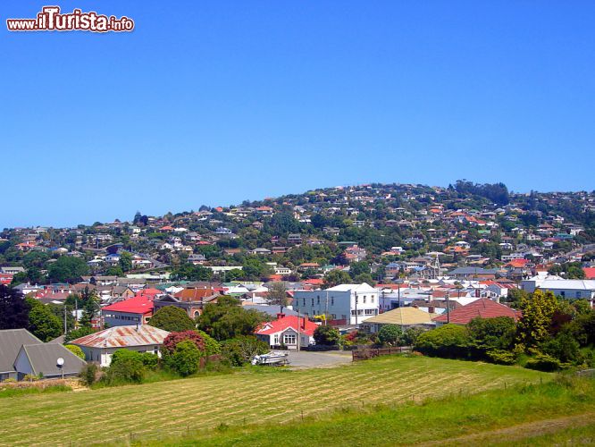 Immagine Area residenziale di Dunedin vista dalla collina della città, Isola del Sud, Nuova Zelanda - © Cloudia Spinner/ Shutterstock.com