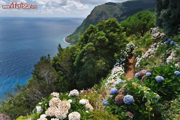 Immagine Un bel panorama da Ponta da Madrugada sull'isola di Sao Miguel, Azzorre, con ortensie fiorite - © 72861856 / Shutterstock.com