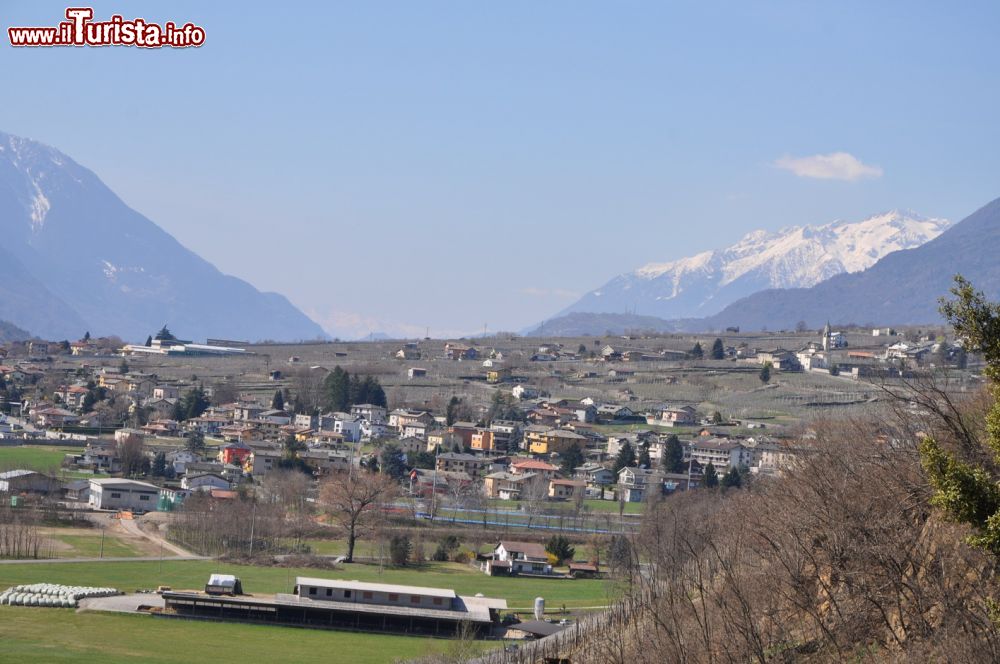 Immagine Panorama sulla valle e i rilievi della Lombardia settentrionale dai terrazzi vinicoli di Chiuro in Valtellina