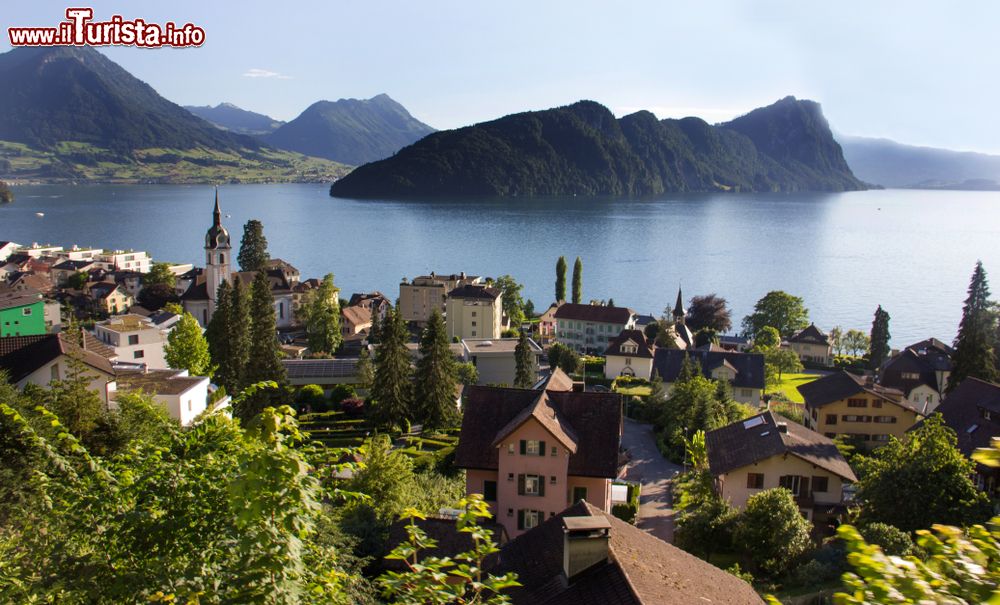 Immagine Panorama dal finestrino del treno che collega Vitznau al Monte Rigi, Svizzera. In appena 30 minuti è possibile raggiungere la vetta del Rigi dal centro del villaggio di Vitznau.