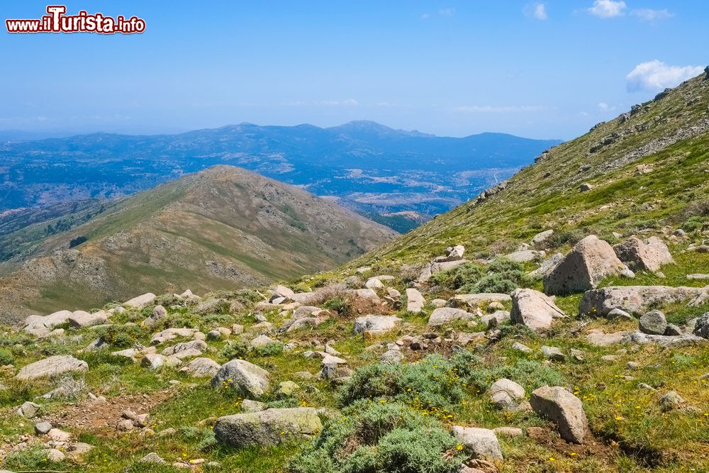 Immagine Panorama dal Pizzo la Marmora, la vetta del Gennargentu in Sardegna, raggiungibile con escursione da Desulo