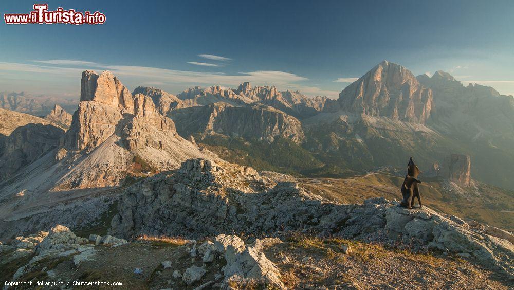 Immagine Panorama dal rifugio Nuvolau, Cortina d'Ampezzo, Veneto. Situata sulla sommità dell'omonimo monte, questa baita inaugurata nel 1883 è stata la prima ad essere costruita sulle Dolomiti. Da qui si vedono il monte Averauo, il gruppo delle Cinque Torri e delle Tofane e l'Alta Via 1 Trek - © MoLarjung / Shutterstock.com