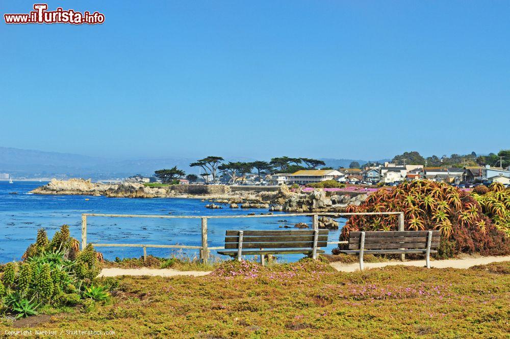 Immagine Panorama dalla Avenue of Pacific Grove, una cittadina della Contea di Monterey, famosa per le sue case Vittoriane - © Naeblys / Shutterstock.com