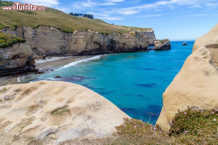 Immagine Panorama della costa dell'Otago fotografata dalla hanging rock vicino a Dunedin, Nuova Zelanda - © Evgeny Gorodetsky / Shutterstock.com