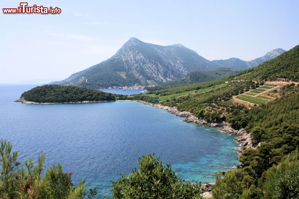 Immagine Panorama dall'alto della penisola di Peljesac nei pressi di Trstenik, Croazia.