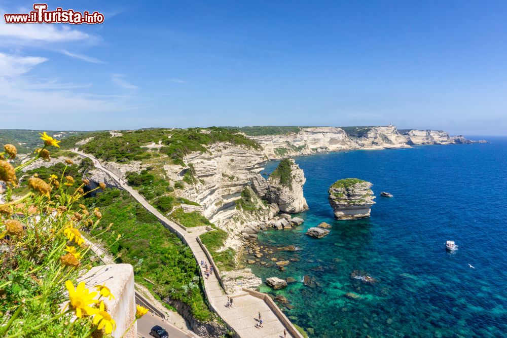 Immagine Panorama dall'alto di Calvi, Corsica, con il suo castello e i campi fioriti in estate.