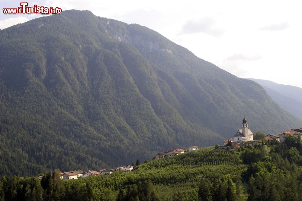 Immagine Panorama dei dintorni di Cles in Trentino