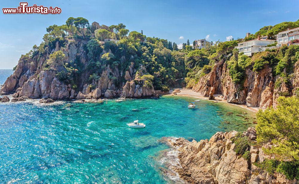 Immagine Panorama dei giardini di Mar i Murtra nella cala di Sa Forcanera a Blanes, Costa Brava, Spagna.