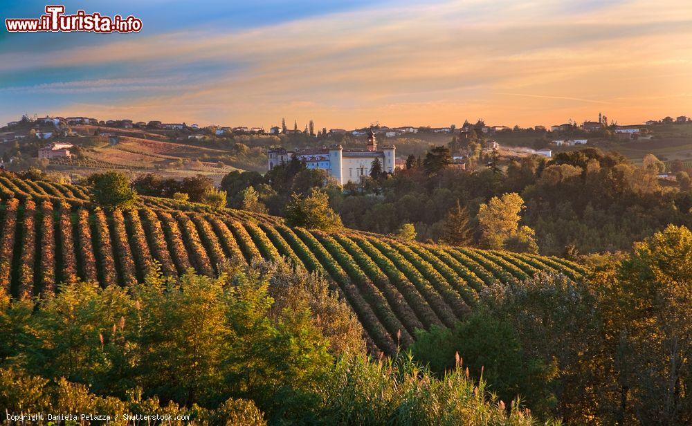 Immagine Panorama dei vigneti intorno a Costigliole d'Asti in Piemonte - © Daniela Pelazza / Shutterstock.com