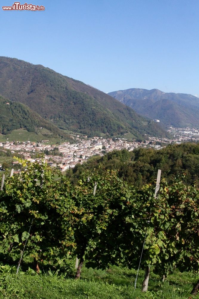 Immagine Panorama dei vigneti vicino a Combai in Veneto.