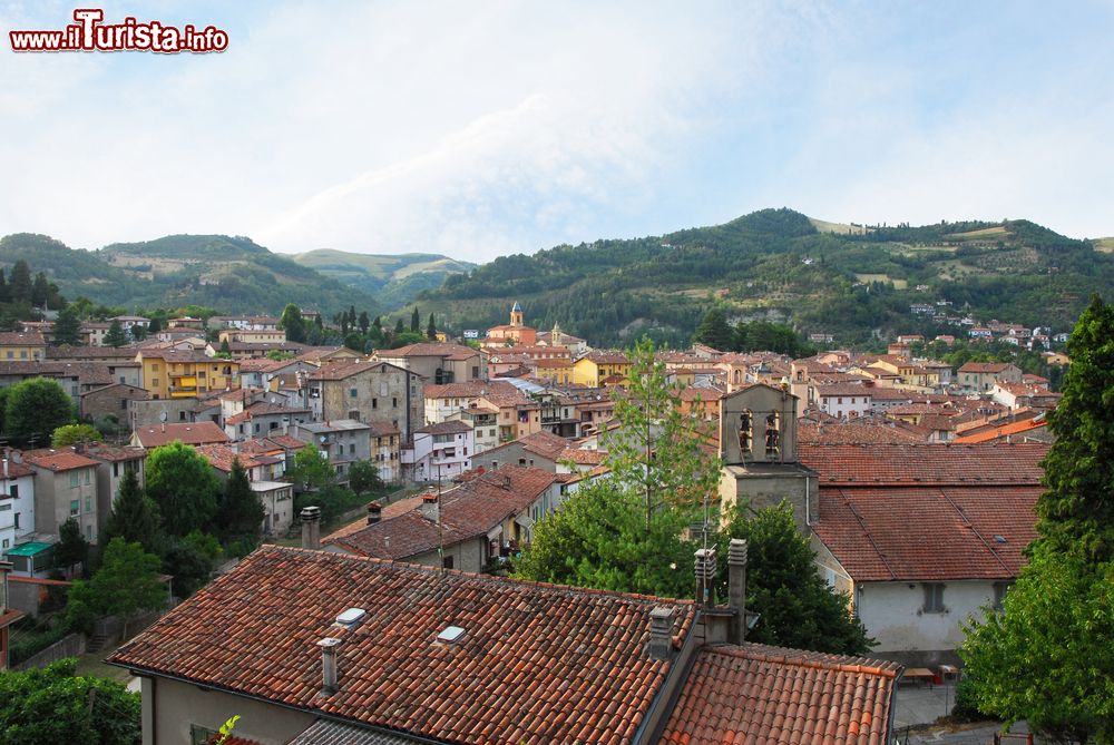 Immagine Panorama del borgo di Modigliana in Provincia di Forlì-Cesena