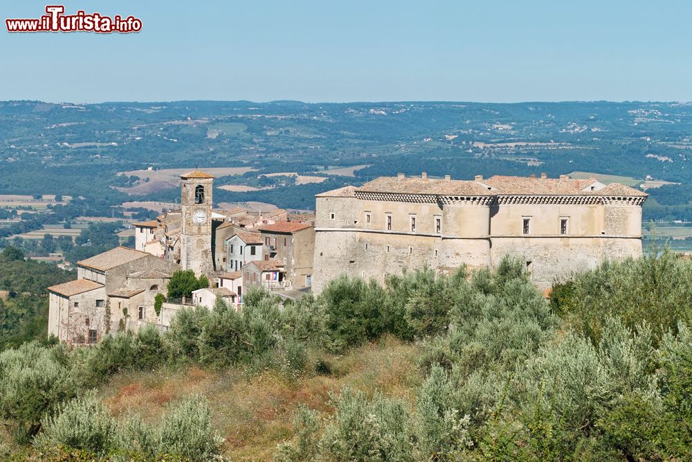 Le foto di cosa vedere e visitare a Alviano