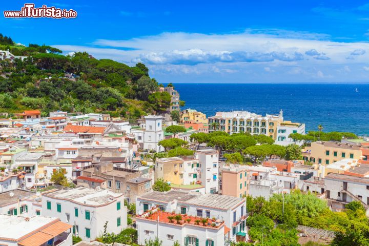 Immagine Il panorama del centro di Lacco Ameno, costa settentrionale dell'isola d'Ischia