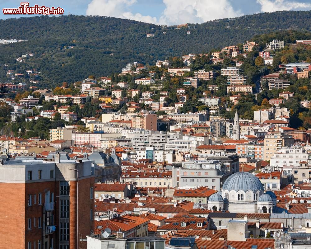 Immagine Panorama del centro di Trieste in Friuli Venezia Giulia.