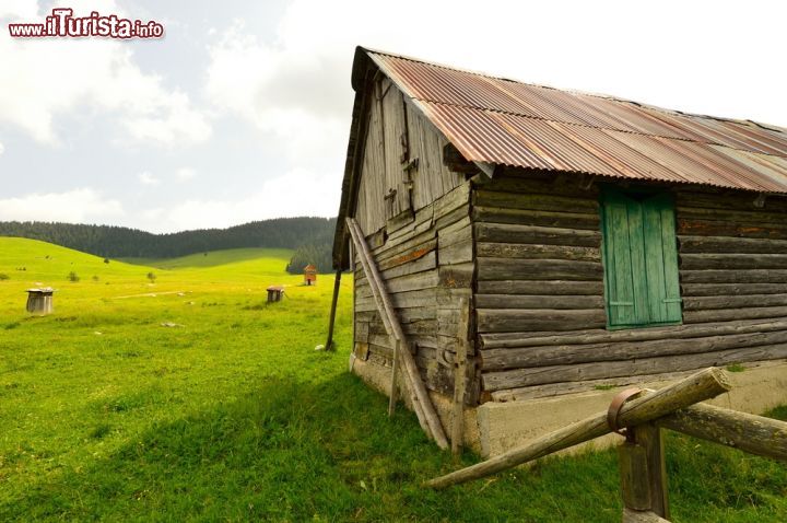 Immagine Panorama del Fondo Enego, vicino a Asiago, Veneto, durante l'estate. Qui si possono fare passeggiate, trekking e attività all'aria aperta - © 147003566 / Shutterstock.com