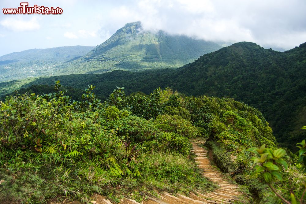 Immagine Panorama del Monte Range durante l'escursione a Boiling Lake, Dominica. Questo lago si trova nel Parco Nazionale Morne Trois Pitons, patrimonio mondiale di Dominica. Si tratta di una fumarola allagata a 10,5 km a est di Roseau ed è pieno di acqua bluastra che gorgoglia avvolta in una nuvola di vapore.