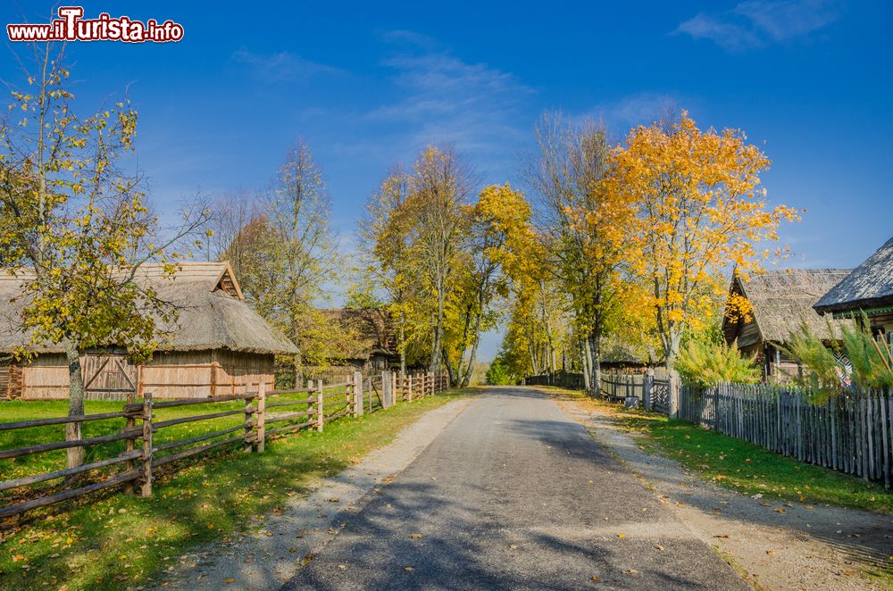 Immagine Panorama del museo etnografico di Kaunas in autunno, Lituania. Qui i visitatori possono immedesimarsi nella vita quotidiana della provincia rurale lituana del XVIII° e XIX° secolo.