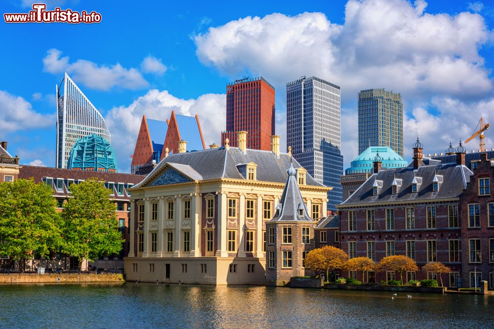 Immagine Panorama del Parlamento Olandese a l'Aia con i grattacieli sullo sfondo (Olanda).