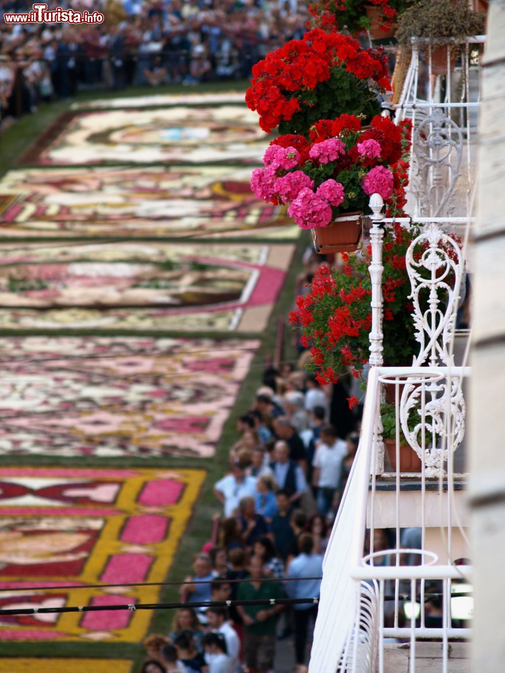 Immagine Panorama dell'Infiorata del Corpus Domini da un balcone di via Belardi a Genzano Romano