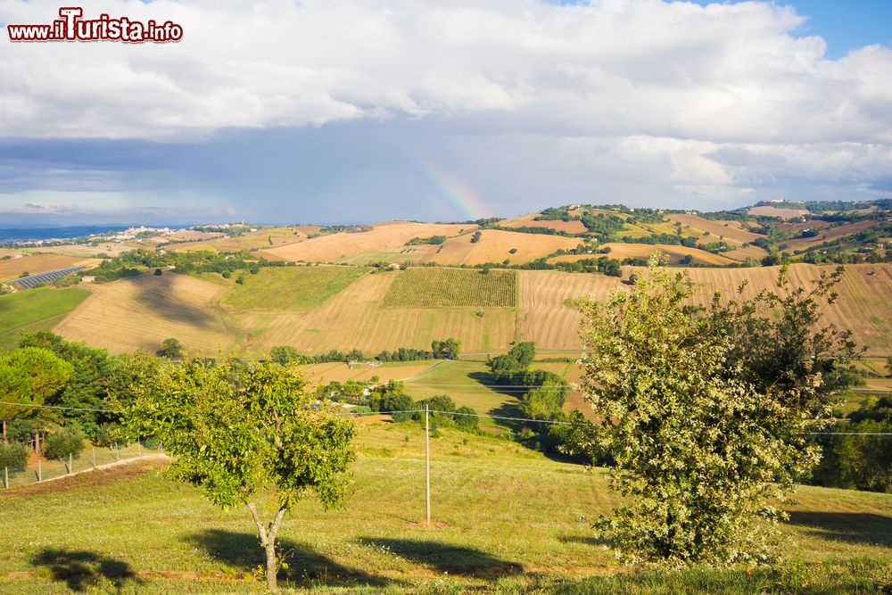 Immagine Panorama della campagna attorno a Offagna, Ancona, Marche. Dalla sommità della collina su cui sorge il paese marchigiano si può osservare il bel paesaggio campestre.