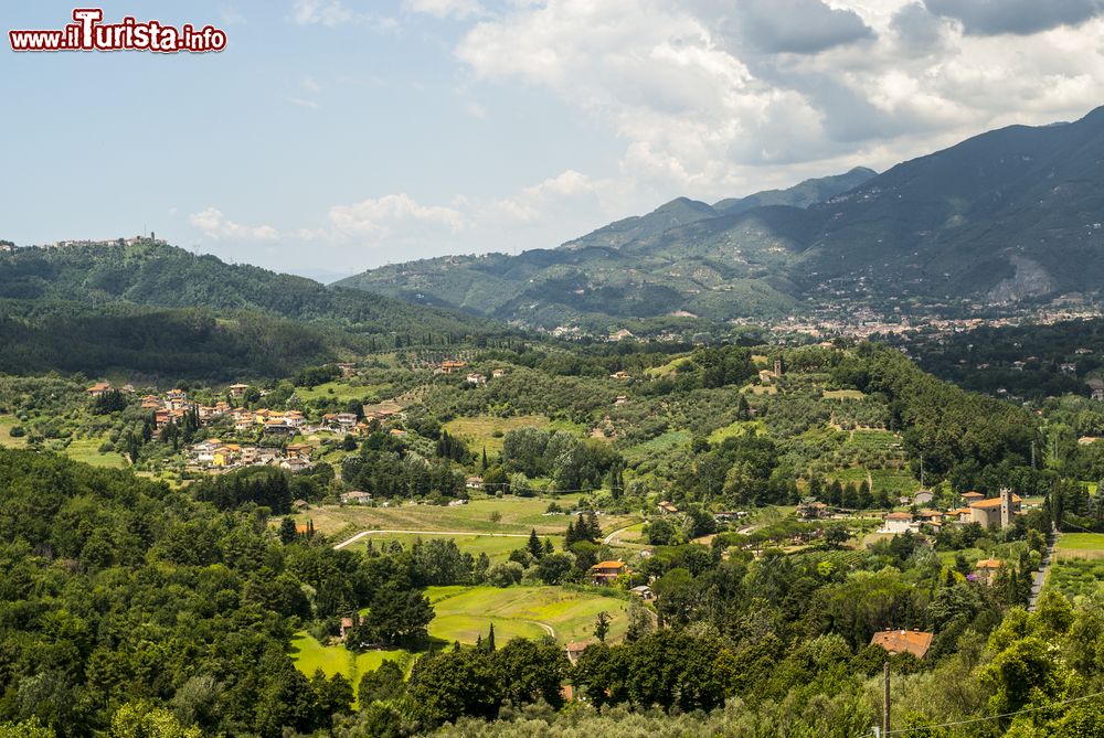 Immagine Panorama della campagne intorno a Camaiore, Toscana. Sullo sfondo le Alpi Apuane