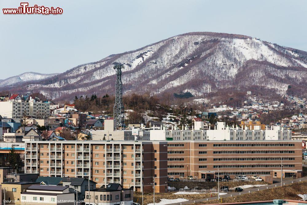 Immagine Panorama della città di Asahikawa con le montagne innevate sullo sfondo, isola di Hokkaido, Giappone. Questa località sorge in una vallata  - © Artit Wongpradu / Shutterstock.com