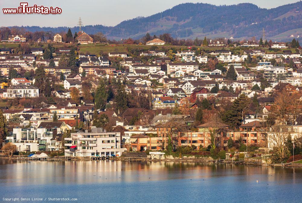 Immagine Panorama della cittadina di Rapperswil-Jona sul lago di Zurigo, Svizzera - © Denis Linine / Shutterstock.com