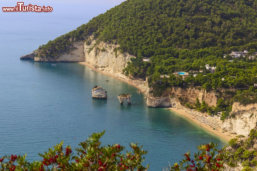 Immagine Panorama della costa del Gargano con i faraglioni di Baia delle Zagare in Puglia