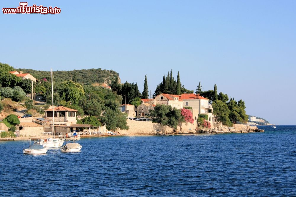 Immagine Panorama della costa di Zaton, Croazia, con le barche ormeggiate al largo. Questa graziosa località vive in stretto contatto con il mare e la natura in cui è immersa.