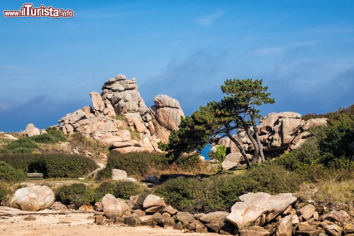 Immagine Panorama della costa rocciosa di Ploumanac'h in Bretagna (Francia) 