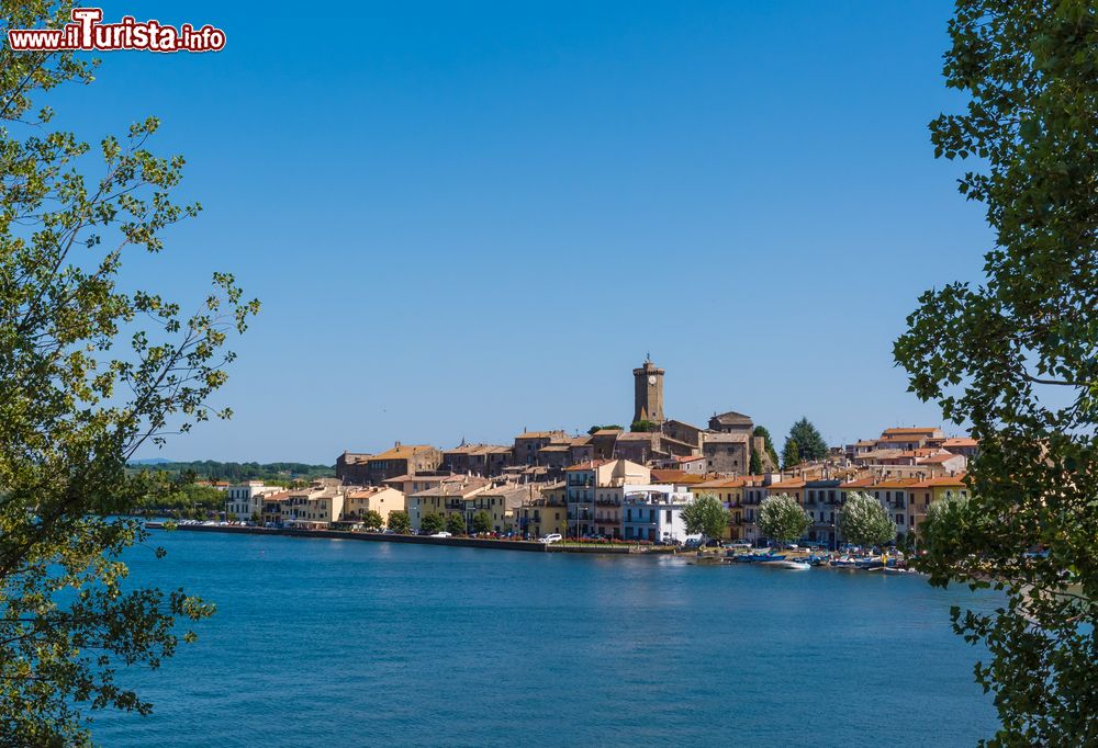 Immagine Panorama della costa sud del Lago di Bolsena e il borgo di Marta