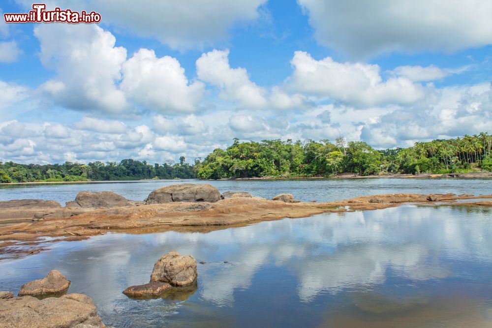 Immagine Panorama della foresta tropicale con le rapide lungo il fiume Suriname nei pressi di Menimi, Djemongo (Sud America).