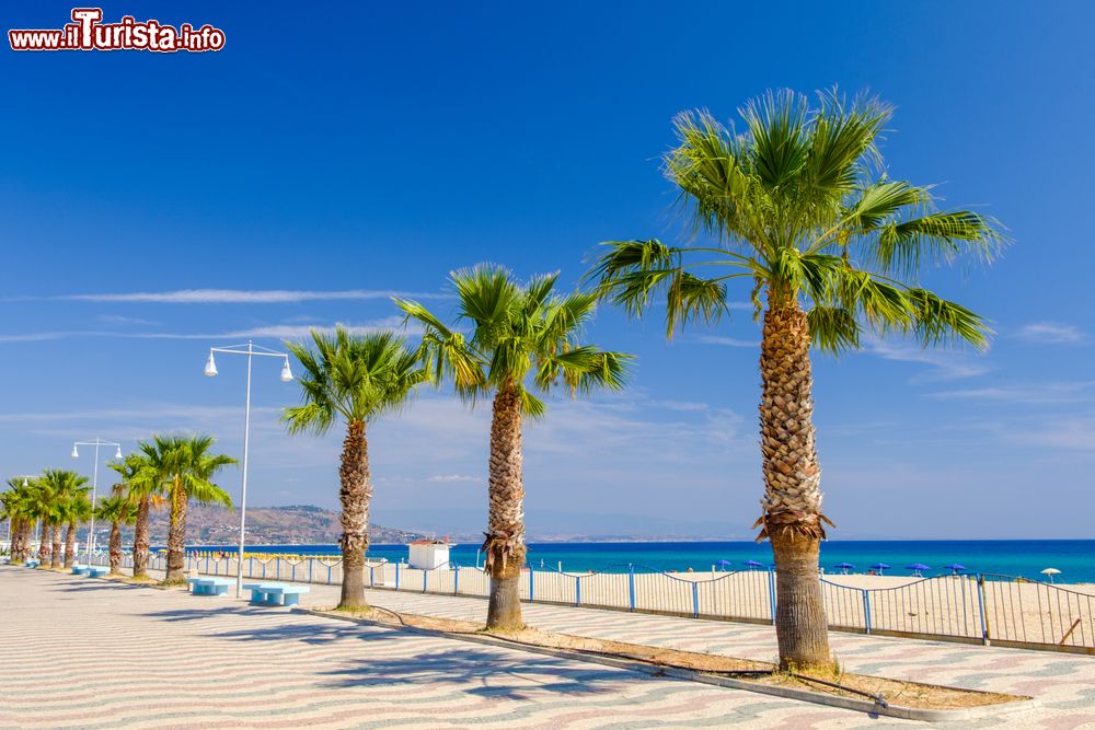 Immagine Panorama della passeggiata lungomare a Soverato, Calabria. Oltre ad essere un lungo viale con palme è anche una sfilata di locali, ristoranti e intrattenimenti per tutte le età e i gusti.